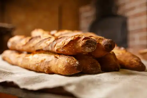 baguette-ma